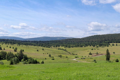 Scenic view of field against sky