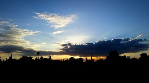 Silhouette of trees at sunset