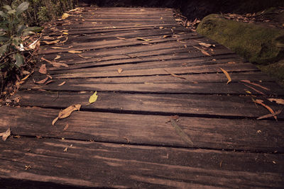 Close-up of wood