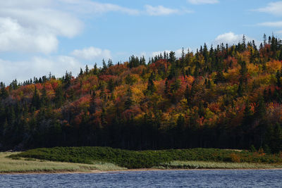 Scenic view of trees by lake against sky during autumn