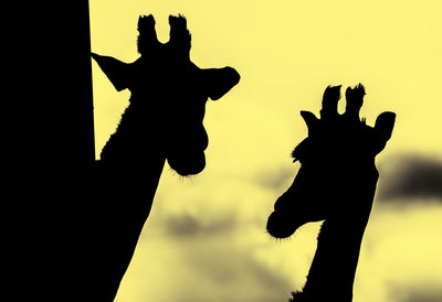 Close-up of silhouette hand against sky during sunset