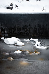 View of birds swimming in lake during winter