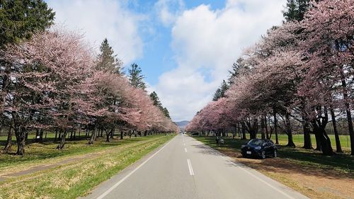 Road amidst trees against sky