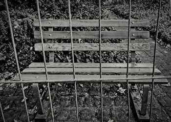 Trees and plants growing on field seen through fence