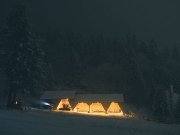 Illuminated buildings in forest during winter at night