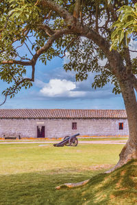 Trees and houses on field against sky