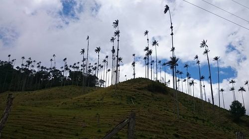 Scenic view of landscape against cloudy sky