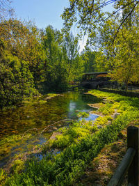 Scenic view of lake in forest against sky