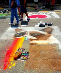 Close-up of person holding multi colored wall