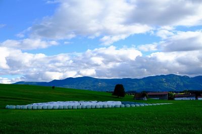 Scenic view of agricultural field against cloudy sky