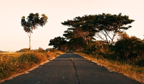 Road amidst trees on field against sky