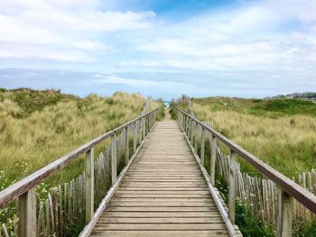 Boardwalk amidst grassy field against cloudy sky