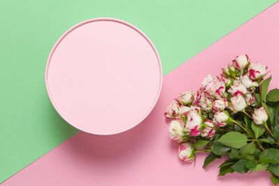 High angle view of pink flowering plant on table