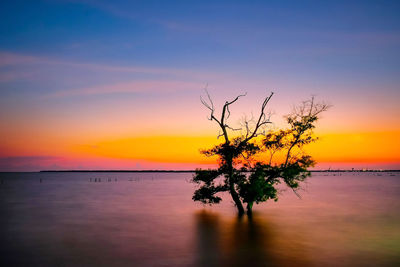 Scenic view of sea against orange sky