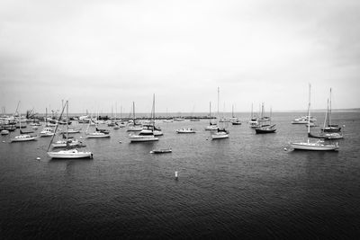 Sailboats moored in marina