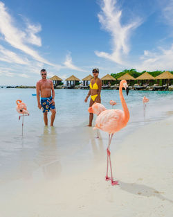 Rear view of woman standing at beach