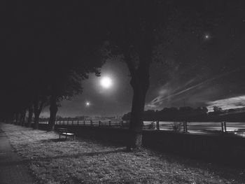 Trees on field against sky at night