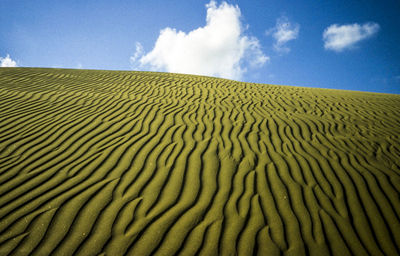 Scenic view of desert against sky