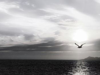 Seagull flying over sea against sky