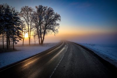 Road amidst bare trees during winter