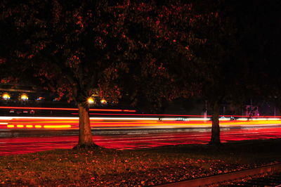 Light trails on road against trees at night