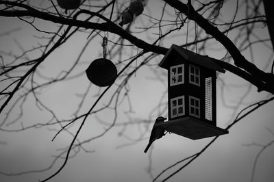 Low angle view of birdhouse on bare tree branch against sky