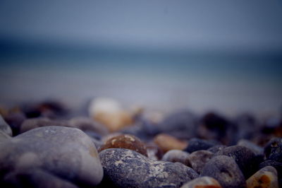Close-up of stones on beach
