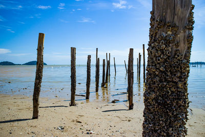 Wooden posts on beach against sky