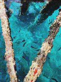 High angle view of swimming pool