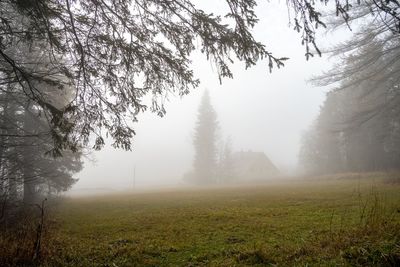 Trees on landscape against sky during winter