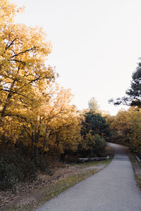 Road amidst trees against sky during autumn