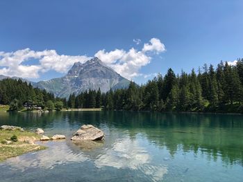 Scenic view of lake by trees against sky