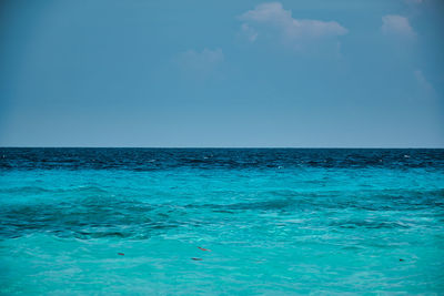 Scenic view of blue sea against sky