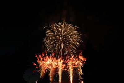 Low angle view of firework display at night