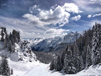 Pine trees on snowcapped mountains against sky