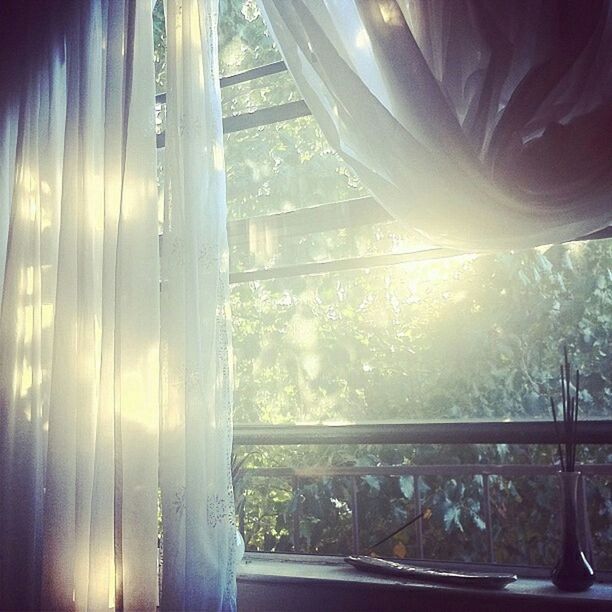 window, glass - material, indoors, curtain, day, drapes, no people, window sill, sunlight, nature, close-up, tree, sky