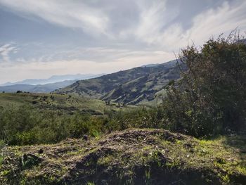 Scenic view of landscape against sky