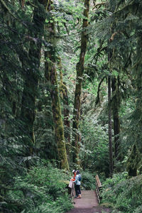 A young couple enjoys a hike in a forest in the pacific northwest.