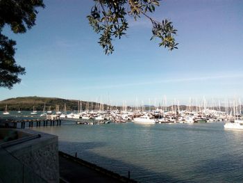 Sailboats in sea