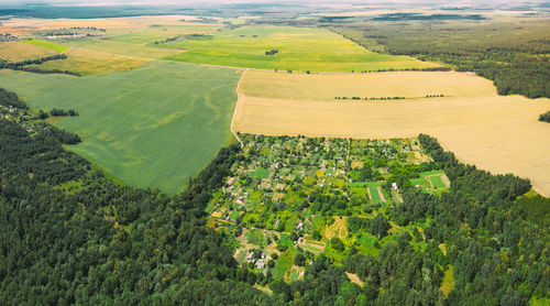 High angle view of trees on field