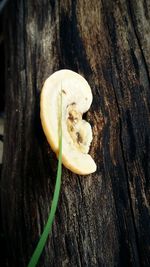 High angle view of fruit on wood