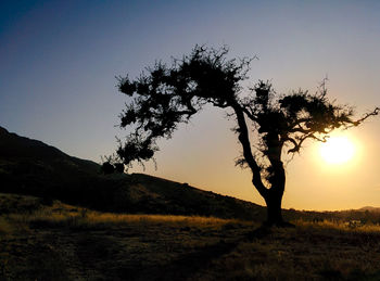 Silhouette tree against sky during sunset