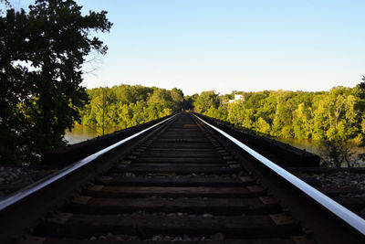 Railway tracks amidst trees against clear sky