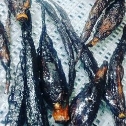 High angle view of fish for sale in market