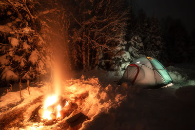 Bonfire by trees in forest at night