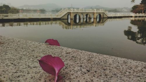 Reflection of built structure in water