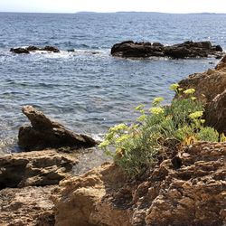 Scenic view of sea against sky
