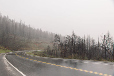 Road by trees against clear sky