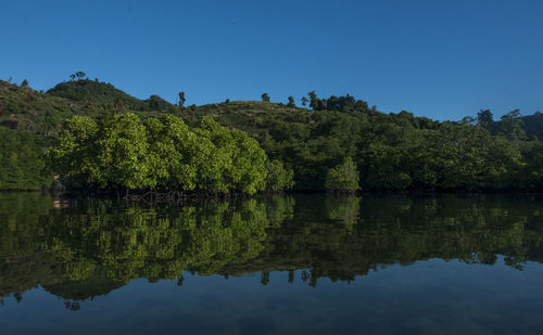 Scenic view of lake against clear sky