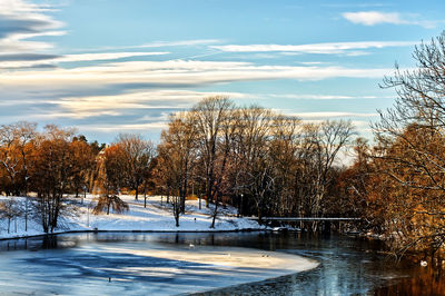 Bare trees by swimming pool in lake against sky